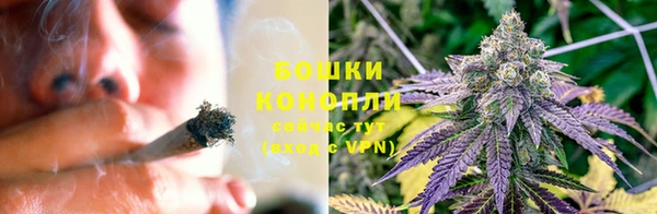 ПСИЛОЦИБИНОВЫЕ ГРИБЫ Лиски