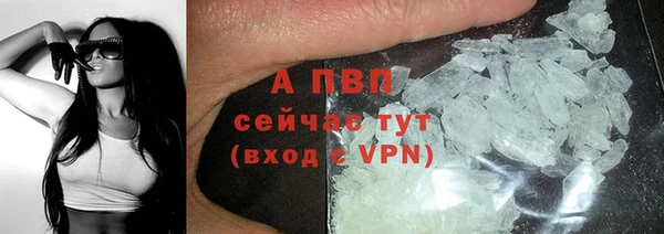 PSILOCYBIN Майский
