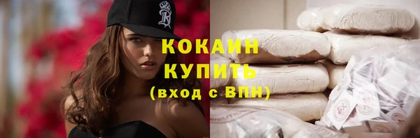 PSILOCYBIN Майский