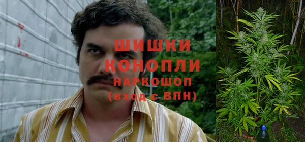ПСИЛОЦИБИНОВЫЕ ГРИБЫ Лиски